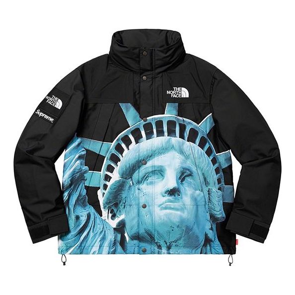 Парка Supreme The North Face x Supreme Statue of Liberty Mountain Jacket Черно | SUP-FW19-905