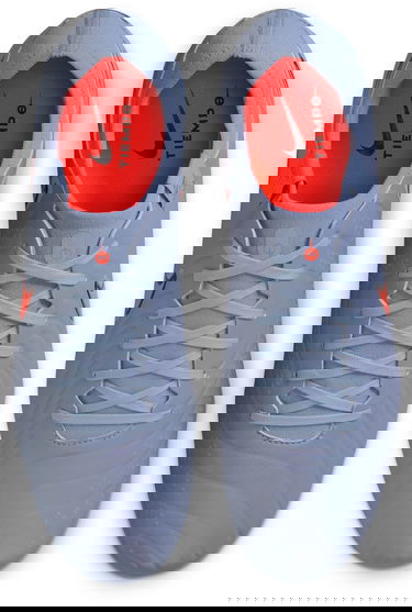 Кецове и обувки Nike LEGEND 10 PRO FG Сиво | dv4333-402, 7