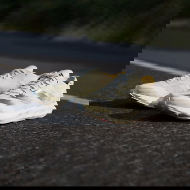 Кецове и обувки adidas Performance ADIZERO ADIOS 8 W Сиво | IG5648, 5