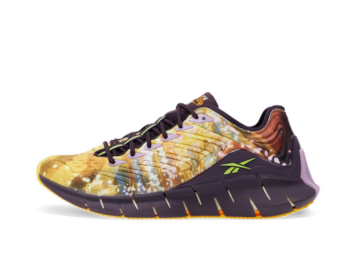 Кецове и обувки Reebok Kung Fu Panda Zig Kinetica Многоцветен | GZ8641