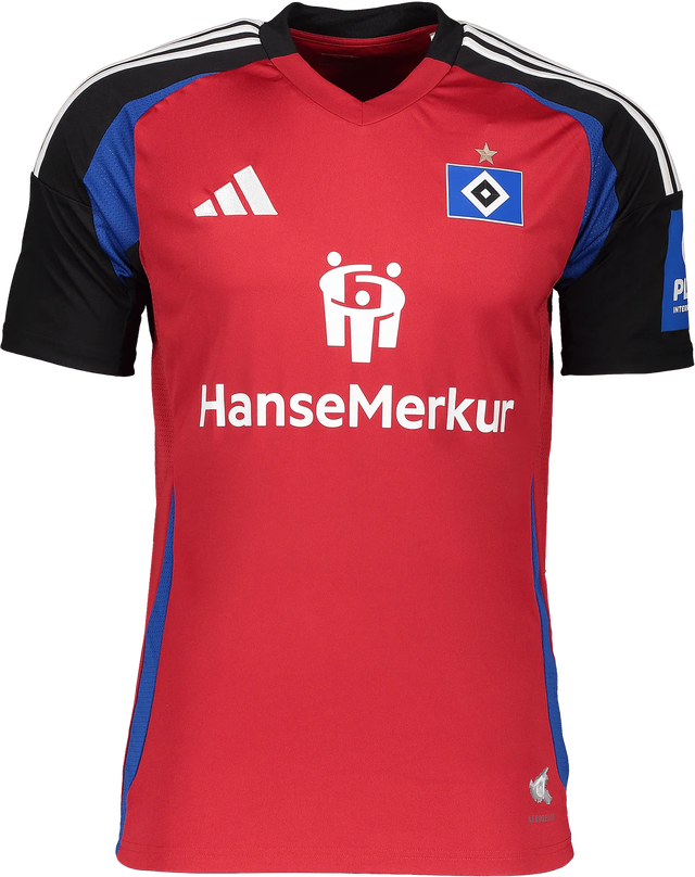 Hamburger SV 2024/25 Third Jersey Kids