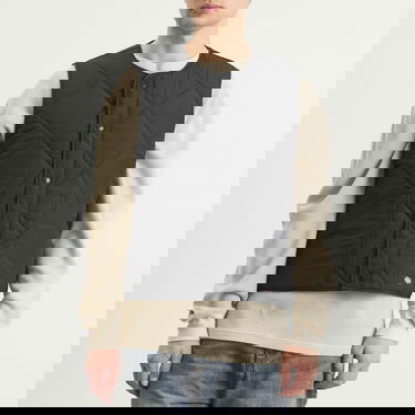 Жилетка Dickies Samburg Quilted Liner Vest Черно | DK0A87O8BLK1, 2