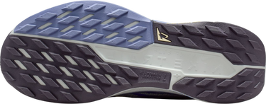 Кецове и обувки Nike Pegasus Trail 5 Синьо | dv3865-403, 4