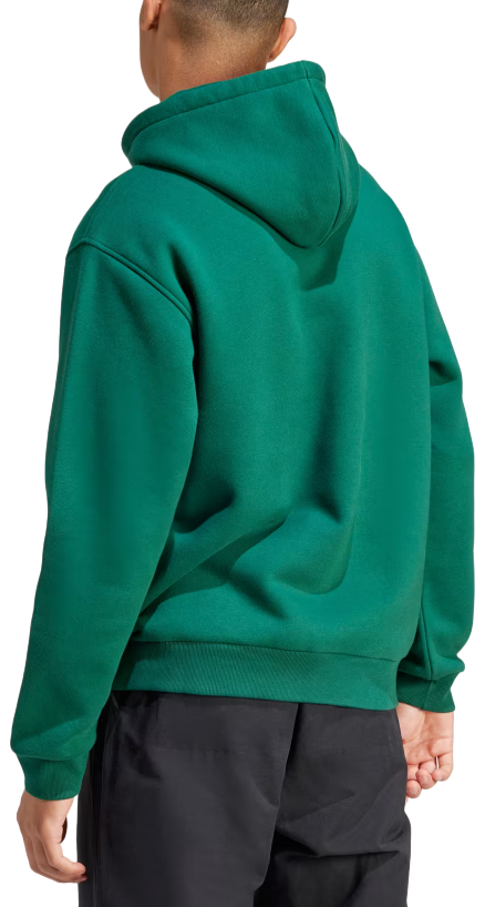 Суитчър adidas Originals Graphic Hoodie Beige Зелено | is1412, 1