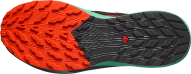 Кецове и обувки Salomon SENSE RIDE 5 Зелено | l47698200, 2