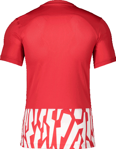Фланелка Nike Nike DF GX1 Jersey Червено | dr2713-657, 1