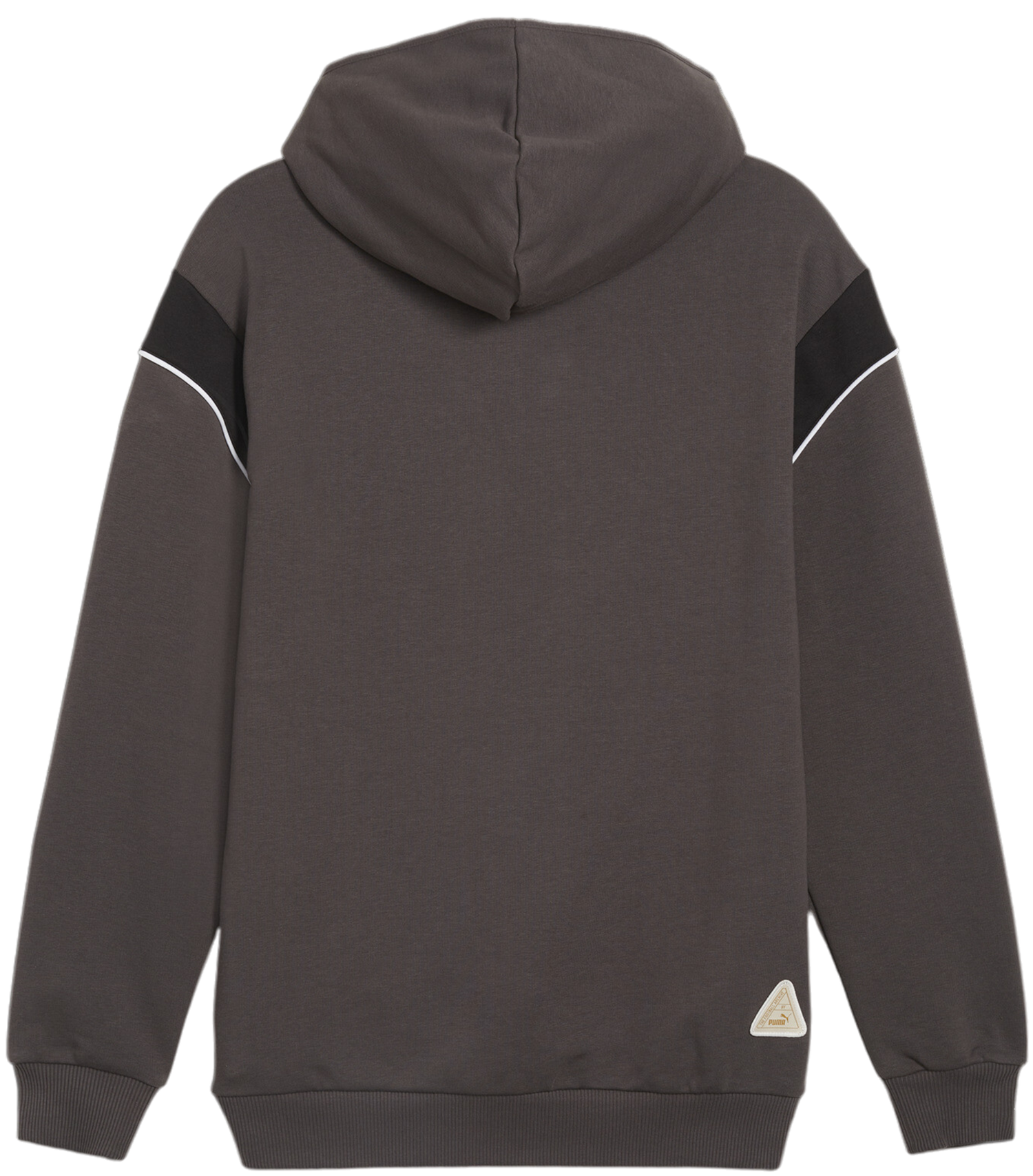 Суитчър Puma BVB Dortmund Ftbl Archive Hoody Сиво | 774264-04, 1