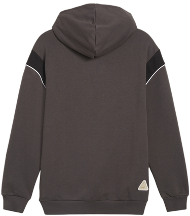Суитчър Puma BVB Dortmund Ftbl Archive Hoody Сиво | 774264-04, 1