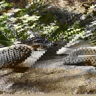 Кецове и обувки adidas Performance adidas TERREX Boty Terrex Voyager 21 Slip-On HEAT.RDY Travel Черно | IE2599, 3