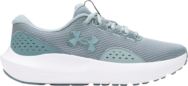 Charged Surge 4