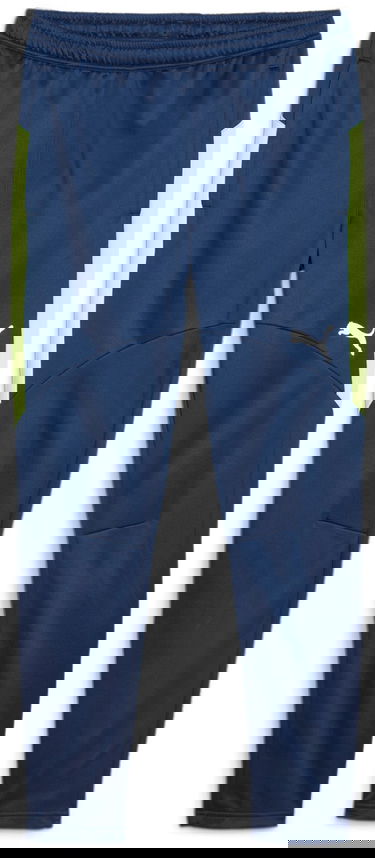 Панталони и дънки Puma Individual Winterized Football Pants Тъмно синьо | 658511-01, 0