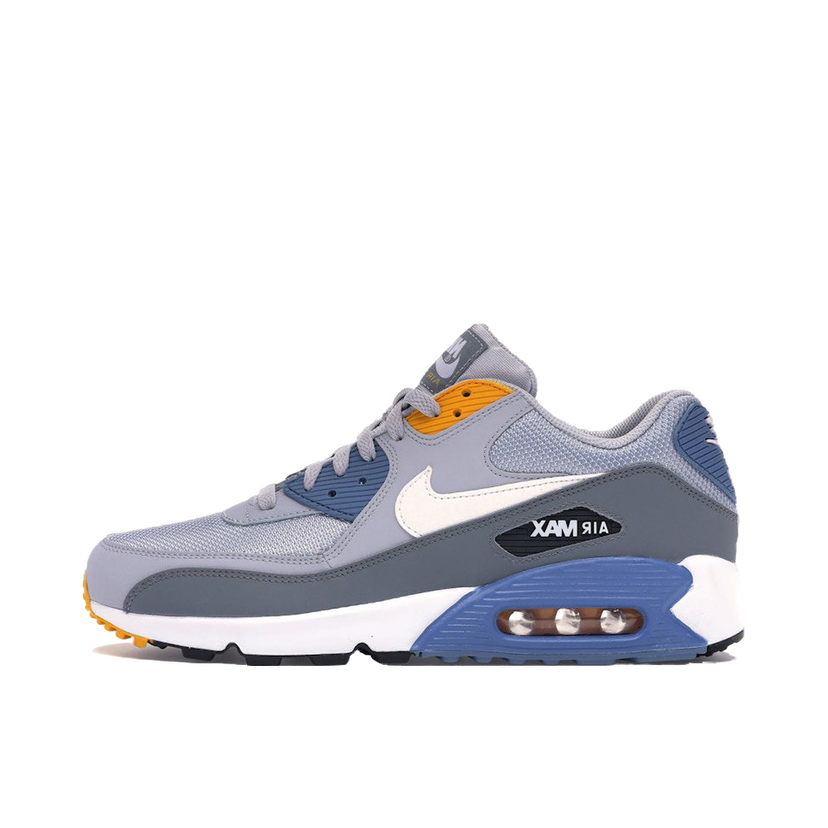 Кецове и обувки Nike Air Max 90 Сиво | AJ1285-016