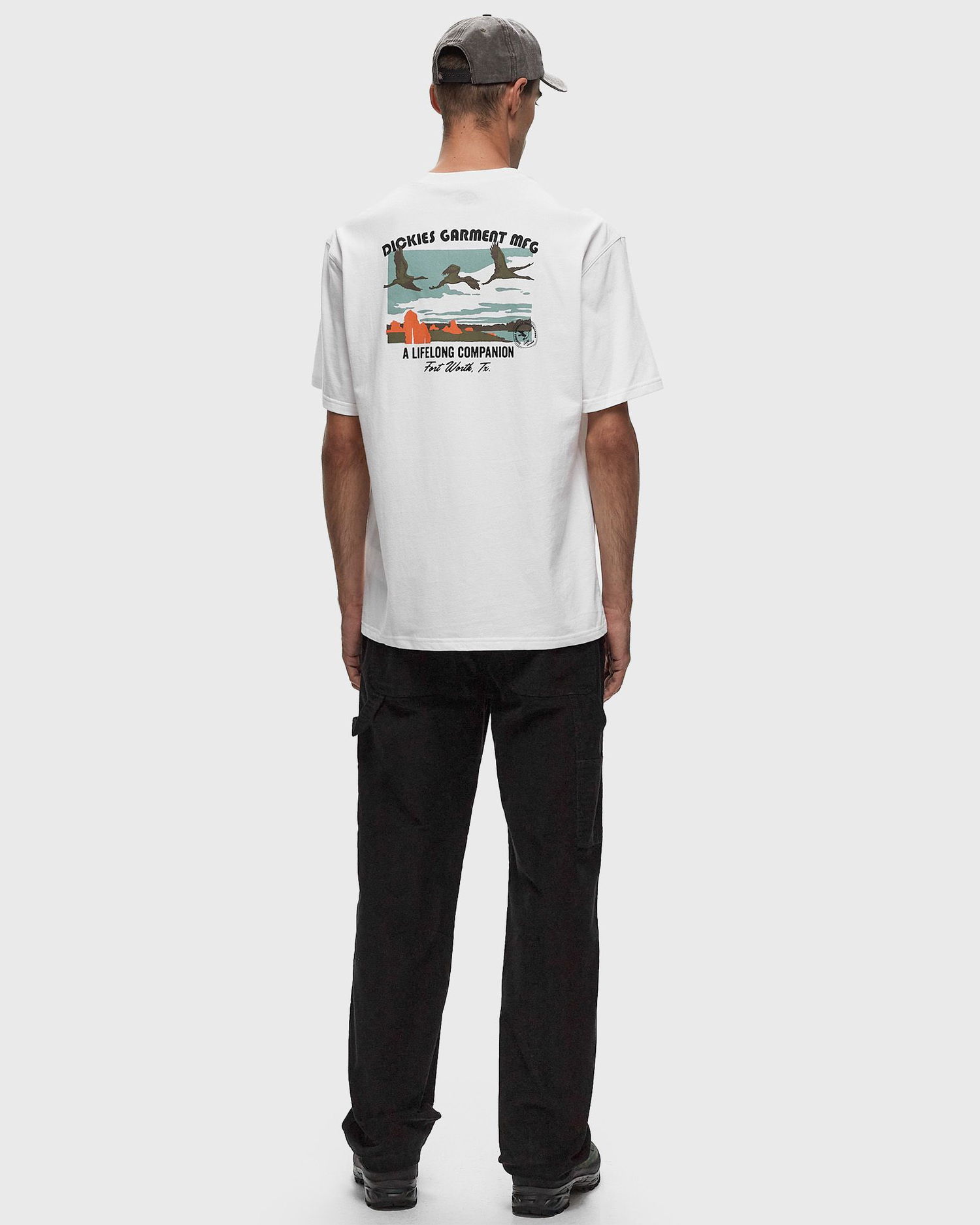 Тениска Dickies Companion T-Shirt Бяло | DK0A4Z3P0WH1, 1