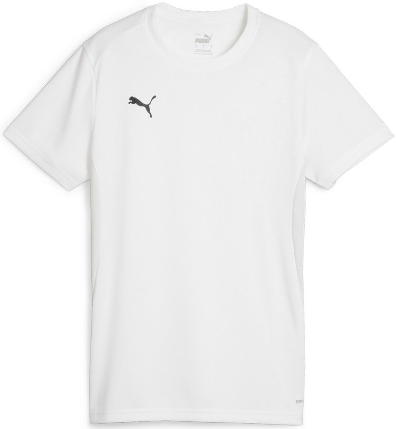 Фланелка Puma Dres teamGOAL Jersey W Сиво | 658638-04