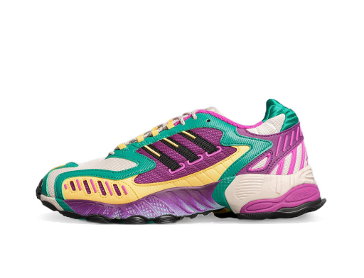 Кецове и обувки adidas Originals Torsion TRDC Многоцветен | EG8445