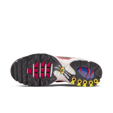 Кецове и обувки Nike Air Max Plus Сиво | DM0032-002, 2