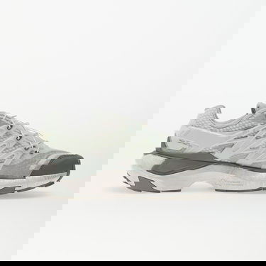 Кецове и обувки Salomon Xt Pu.Re Advanced Ice Fl/ Ftw Silver Металик | L47858700, 2