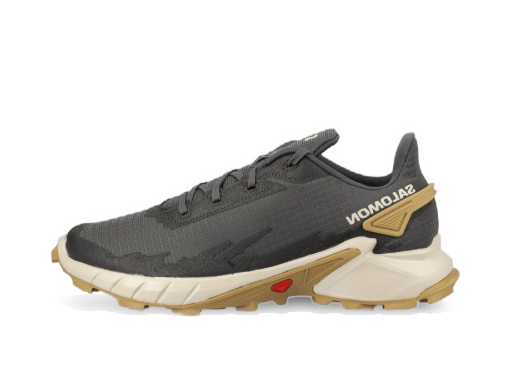 Кецове и обувки Salomon Alphacross 4 Сиво | L41724100