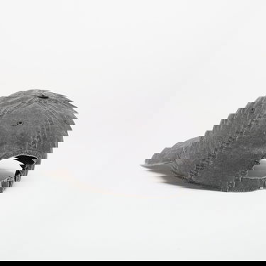 Шапка с козирка adidas Originals Baseball Cap Utility Black Сиво | KE0856, 1