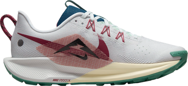 Кецове и обувки Nike Pegasus Trail 5 Сиво | dv3865-100, 2