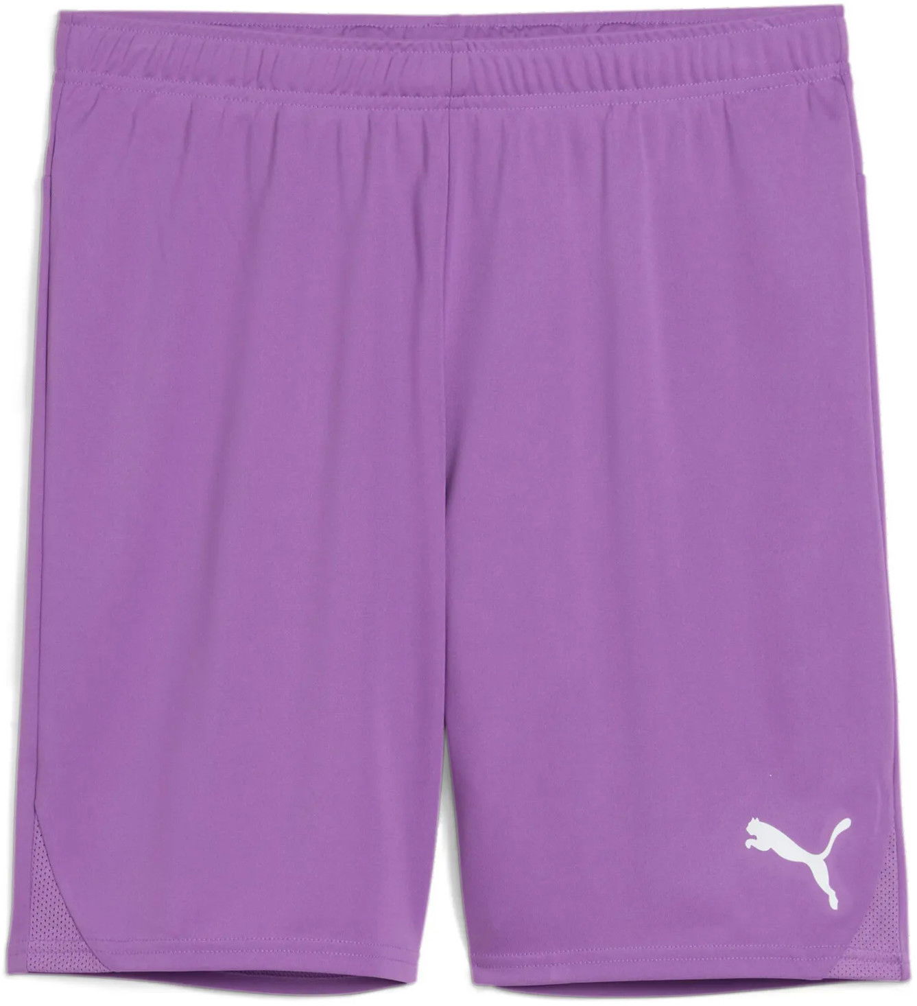 Къси панталони Puma Puma teamGOAL Shorts Лилаво | 705752-33, 0