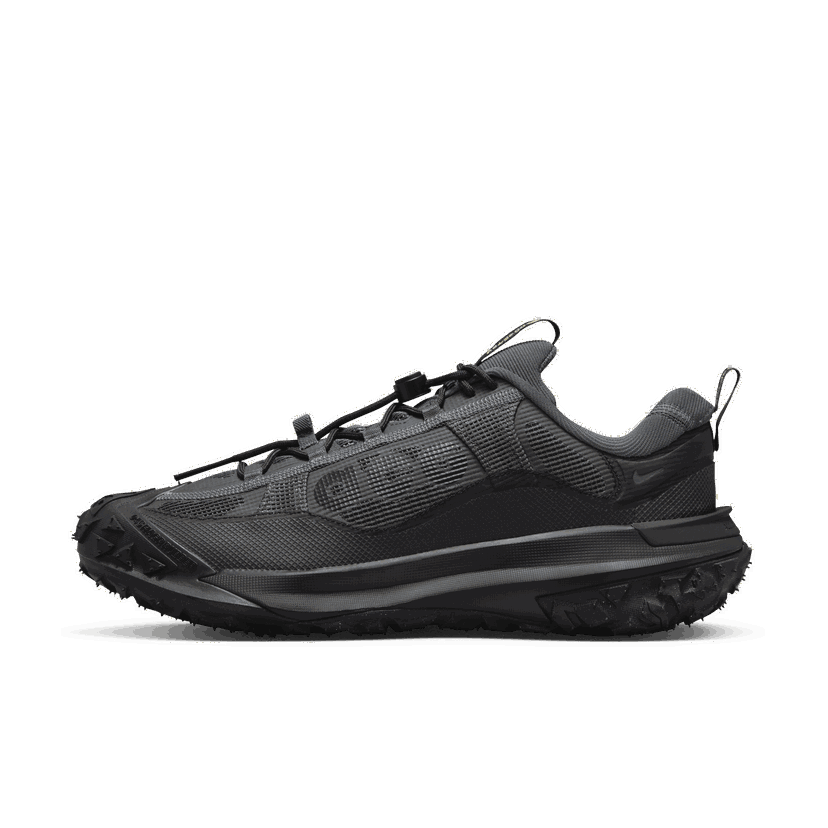 На открито Nike ACG Mountain Fly 2 Low GORE-TEX Сиво | HF6245-001