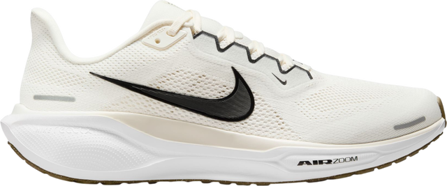 Pegasus 41