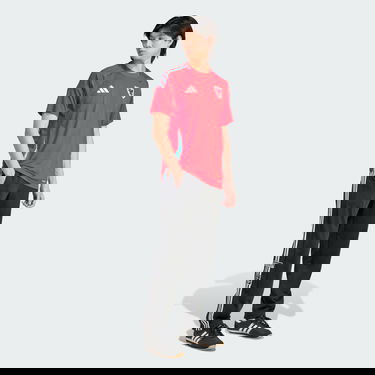 Фланелка adidas Performance Wales Away Jersey 2024/25 Червено | IQ2430, 3