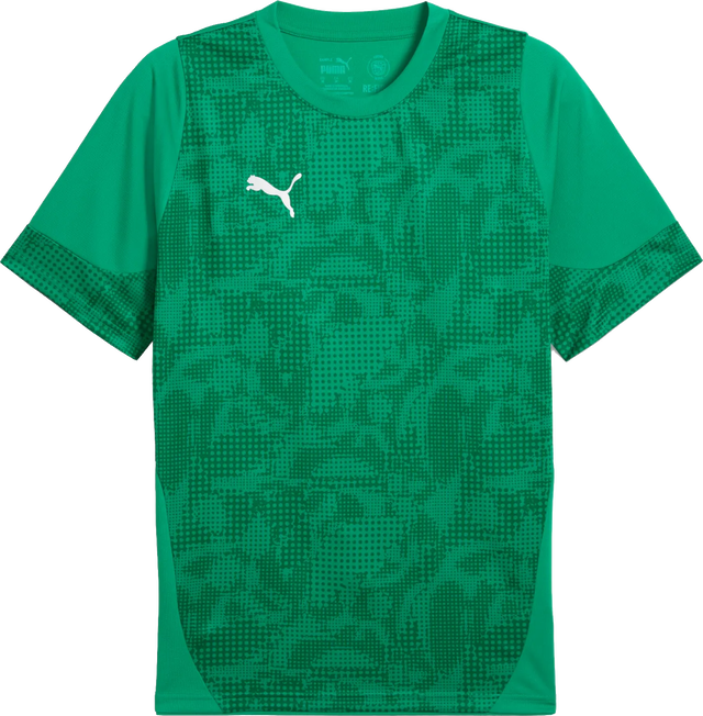 Puma teamCUP Training Jersey