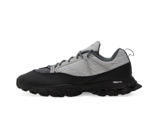 Кецове и обувки Reebok DMX Trail Shadow Сиво | GY1924