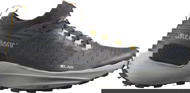 Кецове и обувки Salomon S/LAB Genesis Сиво | l41673200, 0