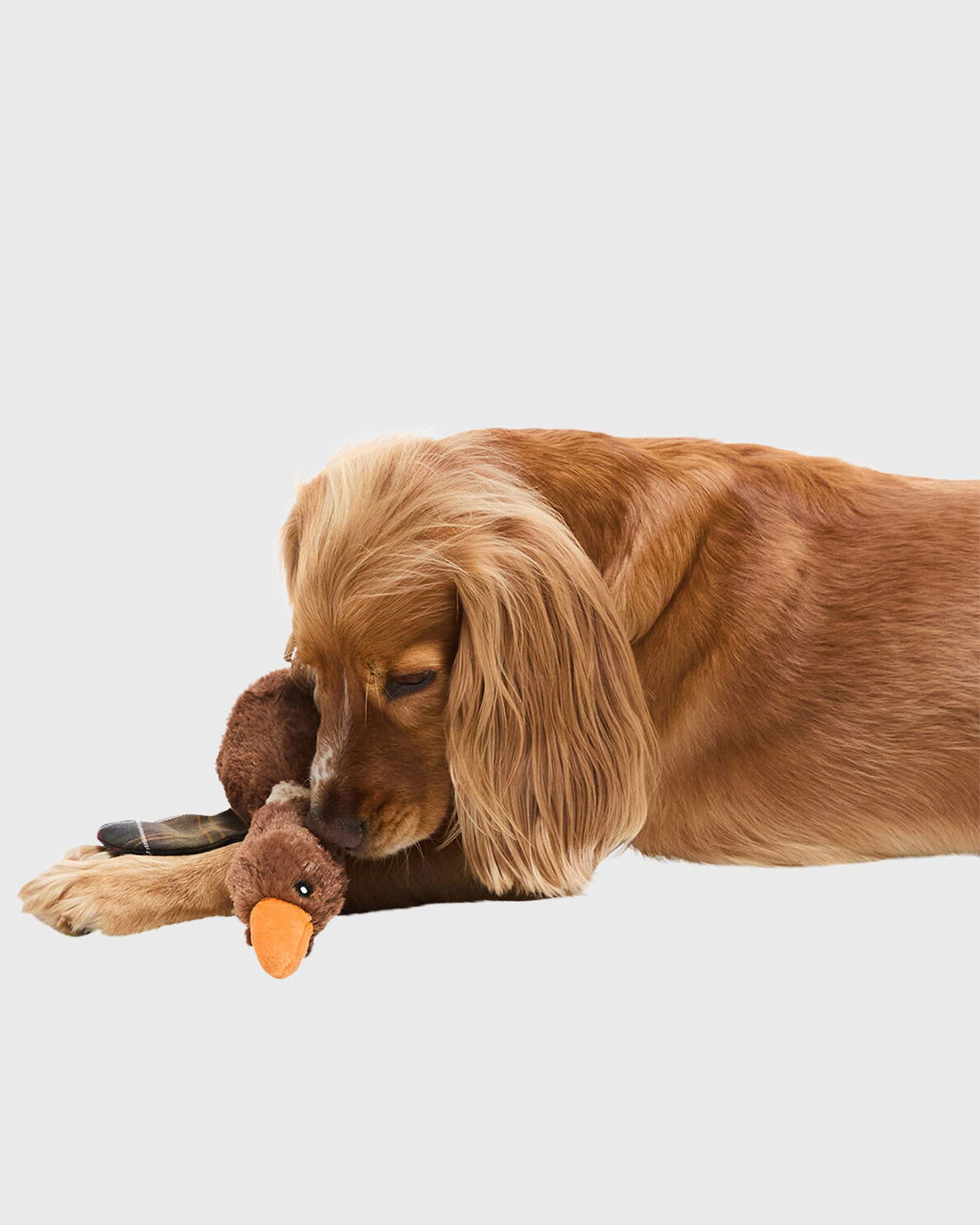 Колекционерско Barbour Plush Duck Toy with Plaid Detail Кафяво | DAC0117BR11, 1