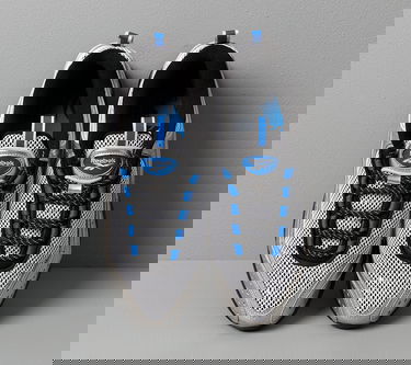Кецове и обувки Reebok BlackEyePatch Daytona DMX II Сиво | EG7752, 2