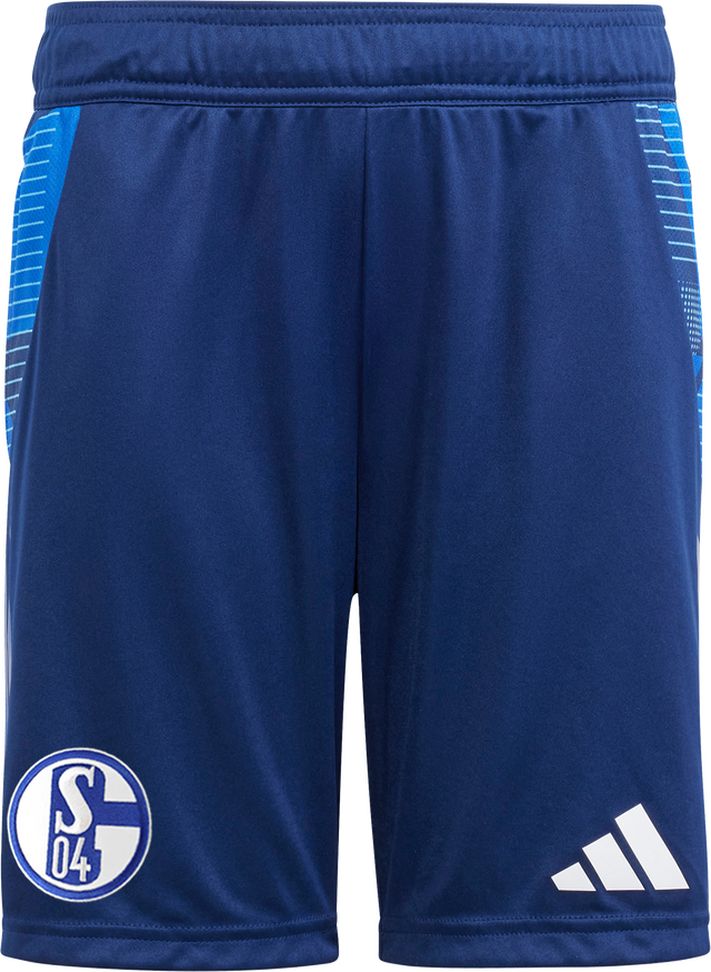 FC Schalke 04 Football Training Shorts