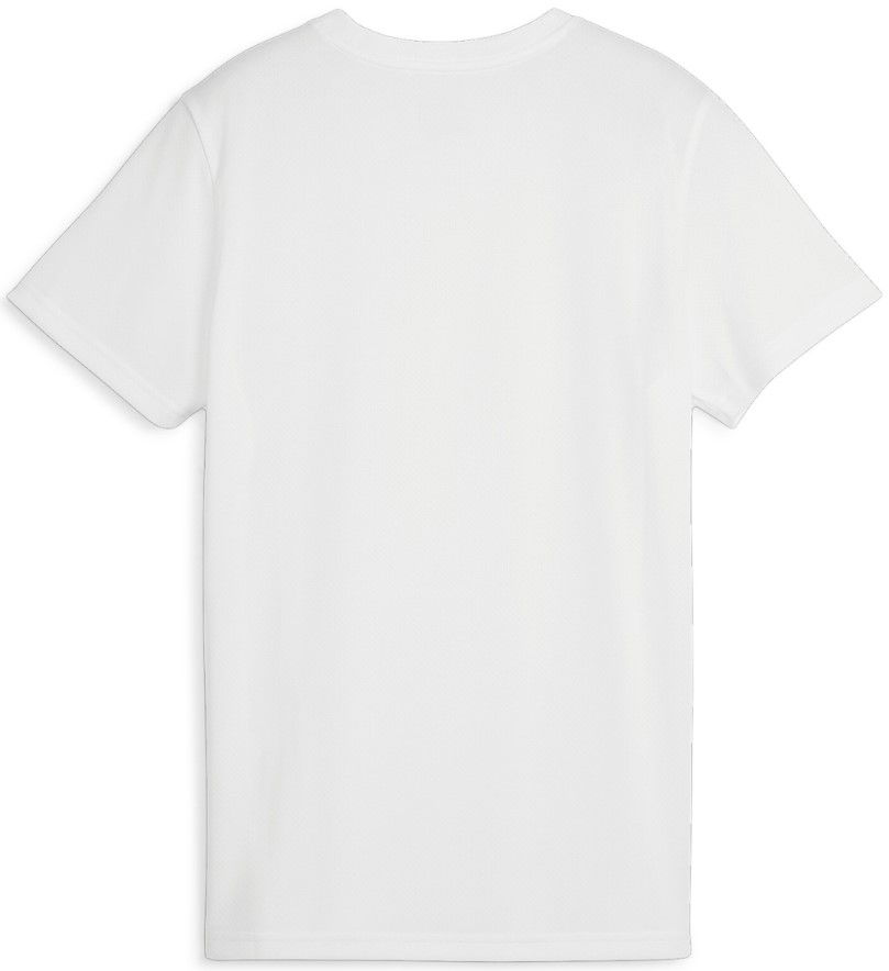 Фланелка Puma Dres teamGOAL Jersey W Сиво | 658638-04, 1