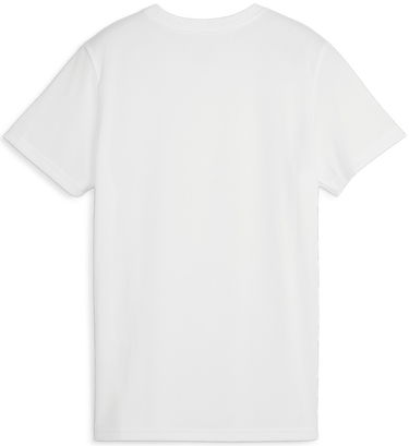 Фланелка Puma Dres teamGOAL Jersey W Сиво | 658638-04, 1