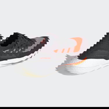 Кецове и обувки adidas Performance UltraBoost 21 Черно | FZ2559, 1