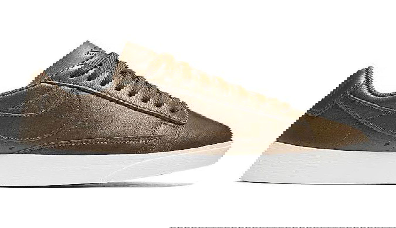 Кецове и обувки Nike Blazer Low LE Металик | AA3961-900, 1