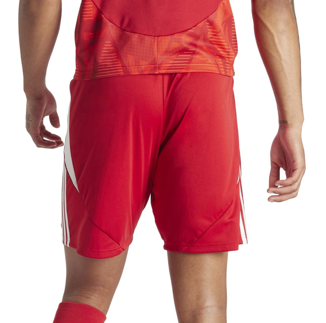 Къси панталони adidas Originals adidas TIRO24 SHO Червено | ir9379, 1