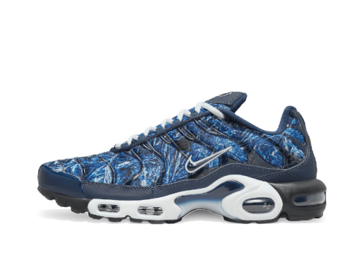 Кецове и обувки Nike Air Max Plus Синьо | DO6384-400