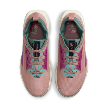Кецове и обувки Nike Pegasus Trail 5 GORE-TEX Розово | FQ0912-600, 1