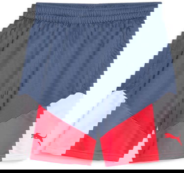 Къси панталони Puma individualCUP Football Shorts Многоцветен | 658485-53, 0