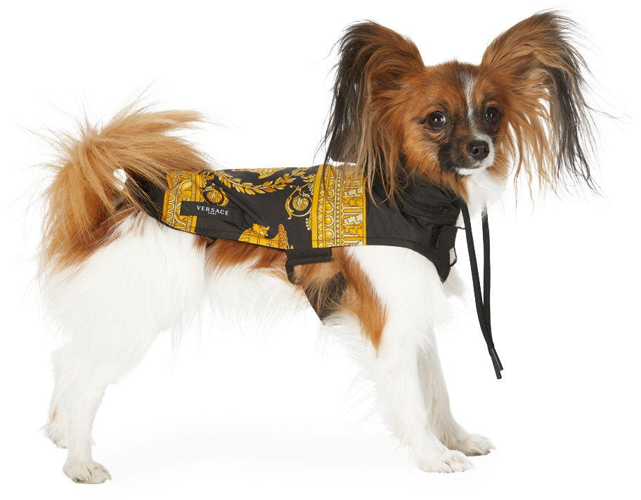 Ветровка Versace Versace Medusa Print Dog Raincoat Черно | ZDOGRACO1 ZPUL0012, 0