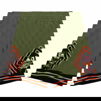 Flight Chicago Bulls 1997 Swingman Shorts