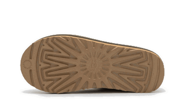 Кецове и обувки UGG Tasman Slipper Зелено | 5950-BTOL, 2