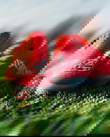 Кецове и обувки New Balance Furon V7 Pro FG Червено | sf1f-bs1, 6