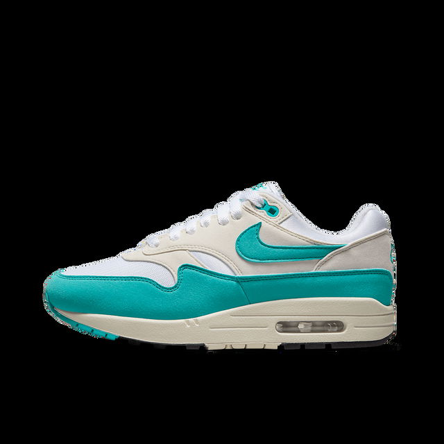 Air Max 1 "Dusty Cactus"