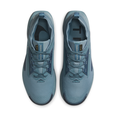 Кецове и обувки Nike Pegasus Trail 5 GORE-TEX Синьо | FQ0908-005, 4