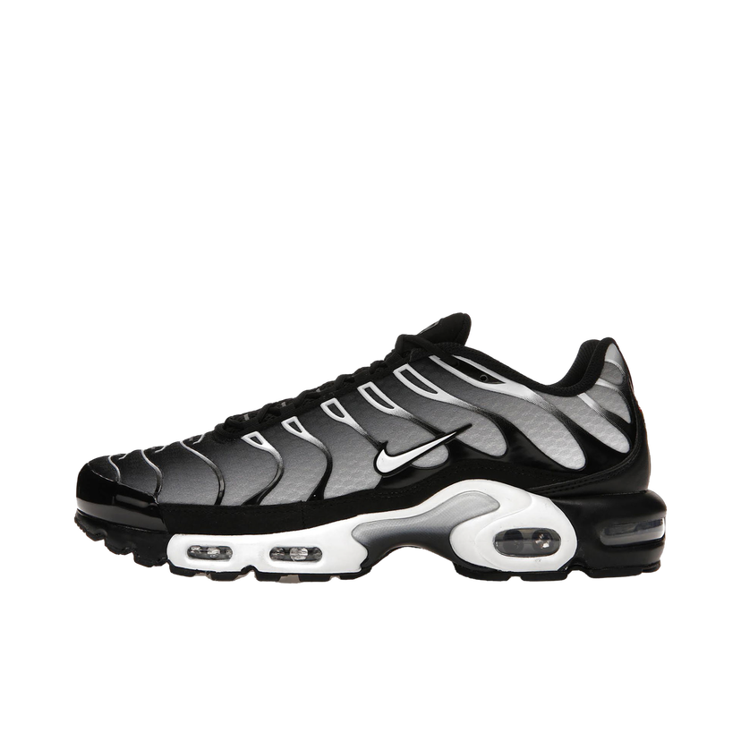 Кецове и обувки Nike Air Max Plus Black Silver White Сиво | DM0032-003
