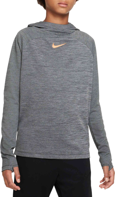 Суитчър Nike Dri-FIT Academy Hoodie Сиво | dq8898-010, 0